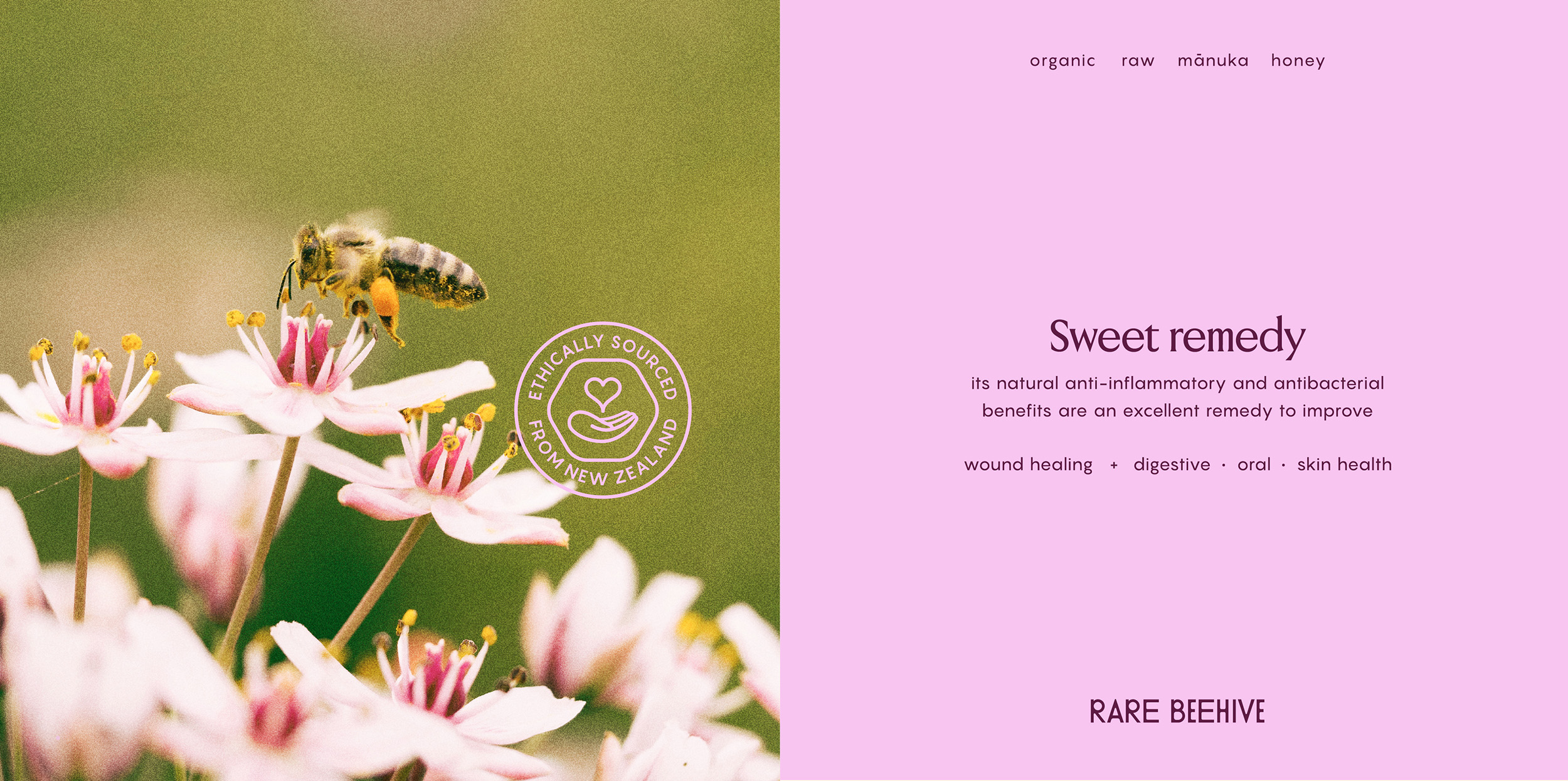Rare Beehive – Behance extras