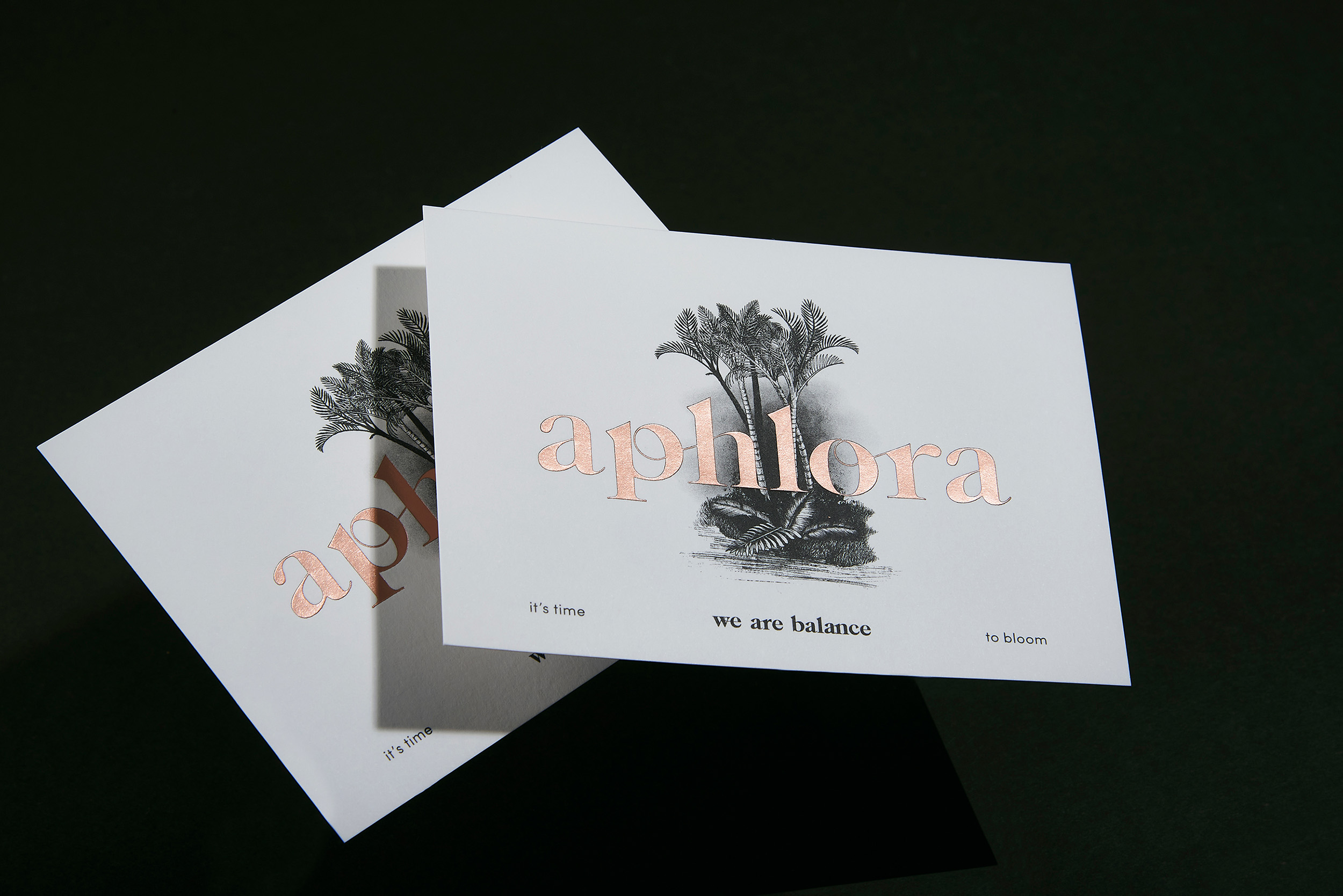 aphlora-22