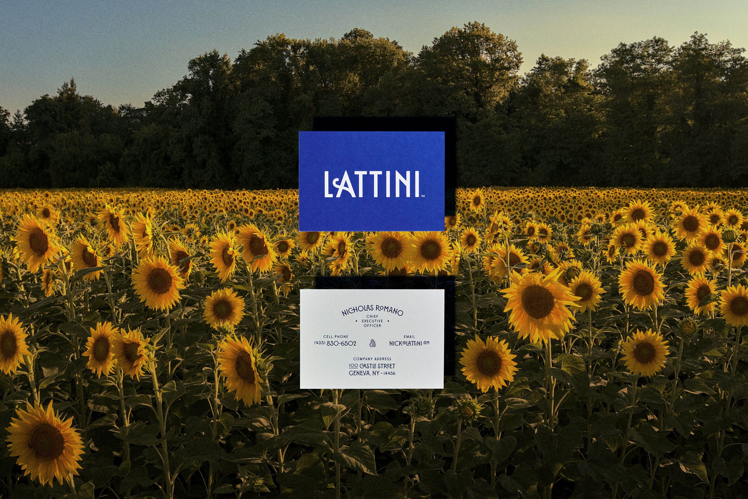 lattini-11