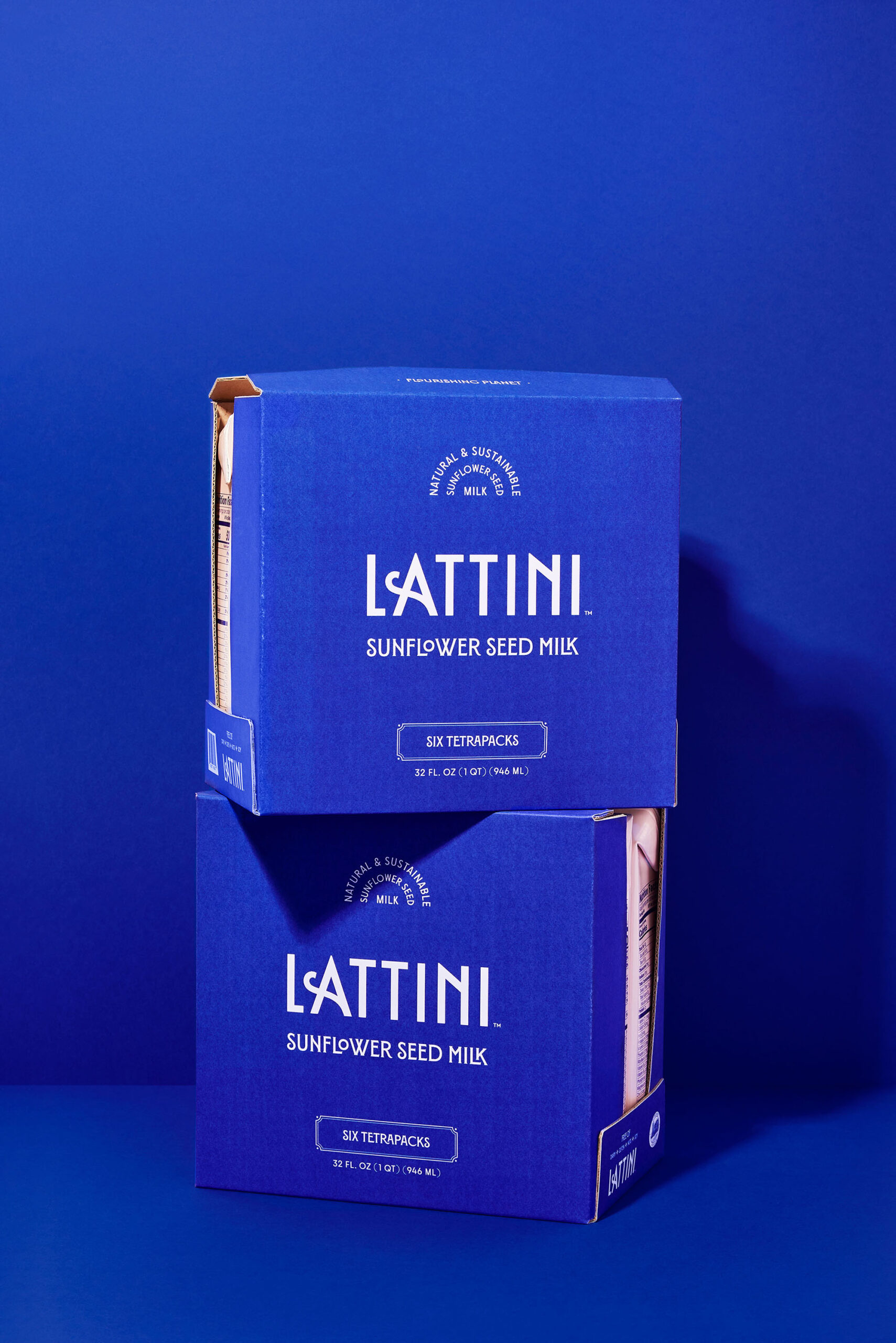 lattini-19b