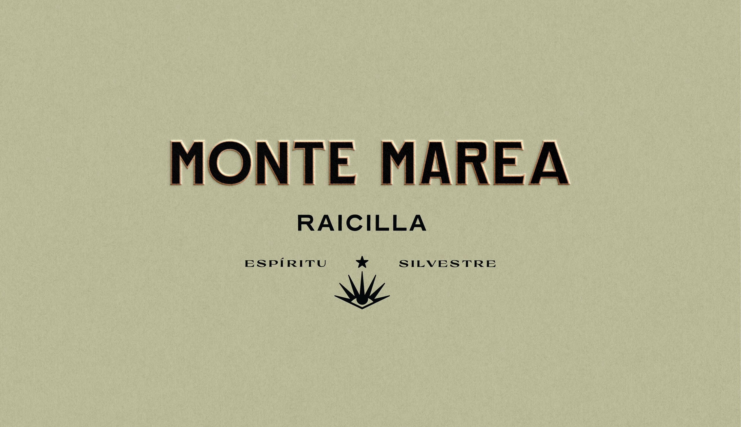 montea-marea-15
