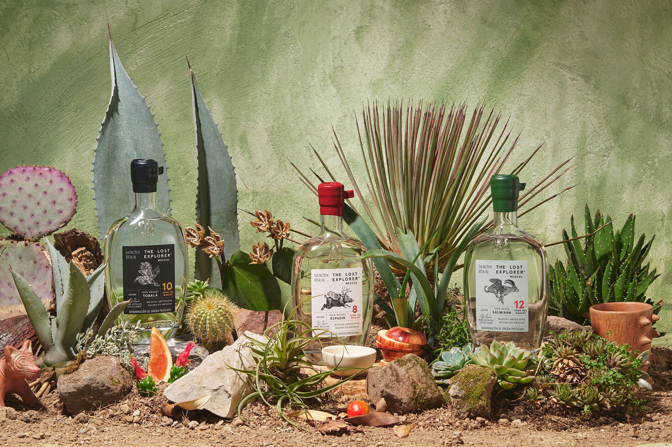 the-lost-explorer-01