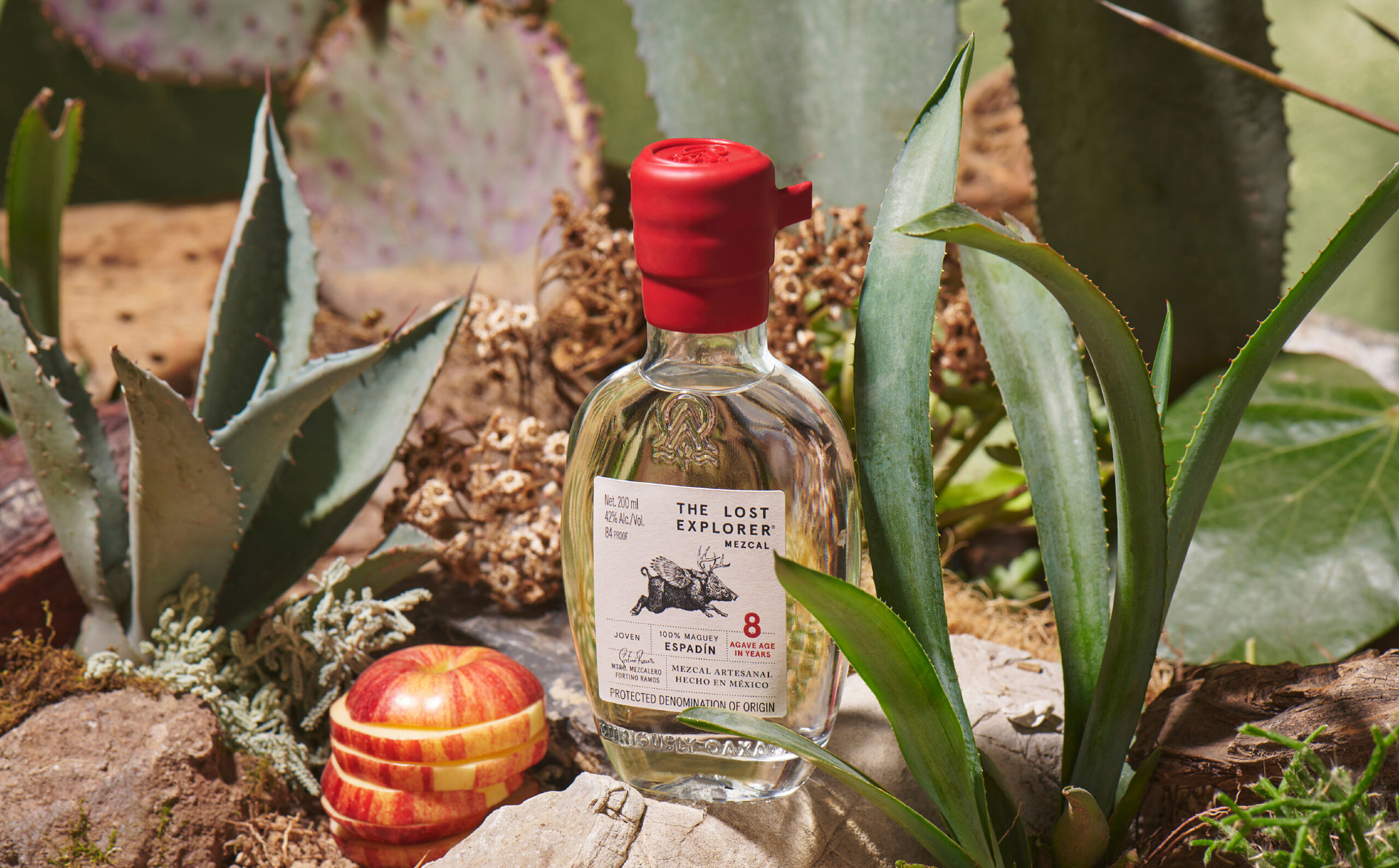 the-lost-explorer-05