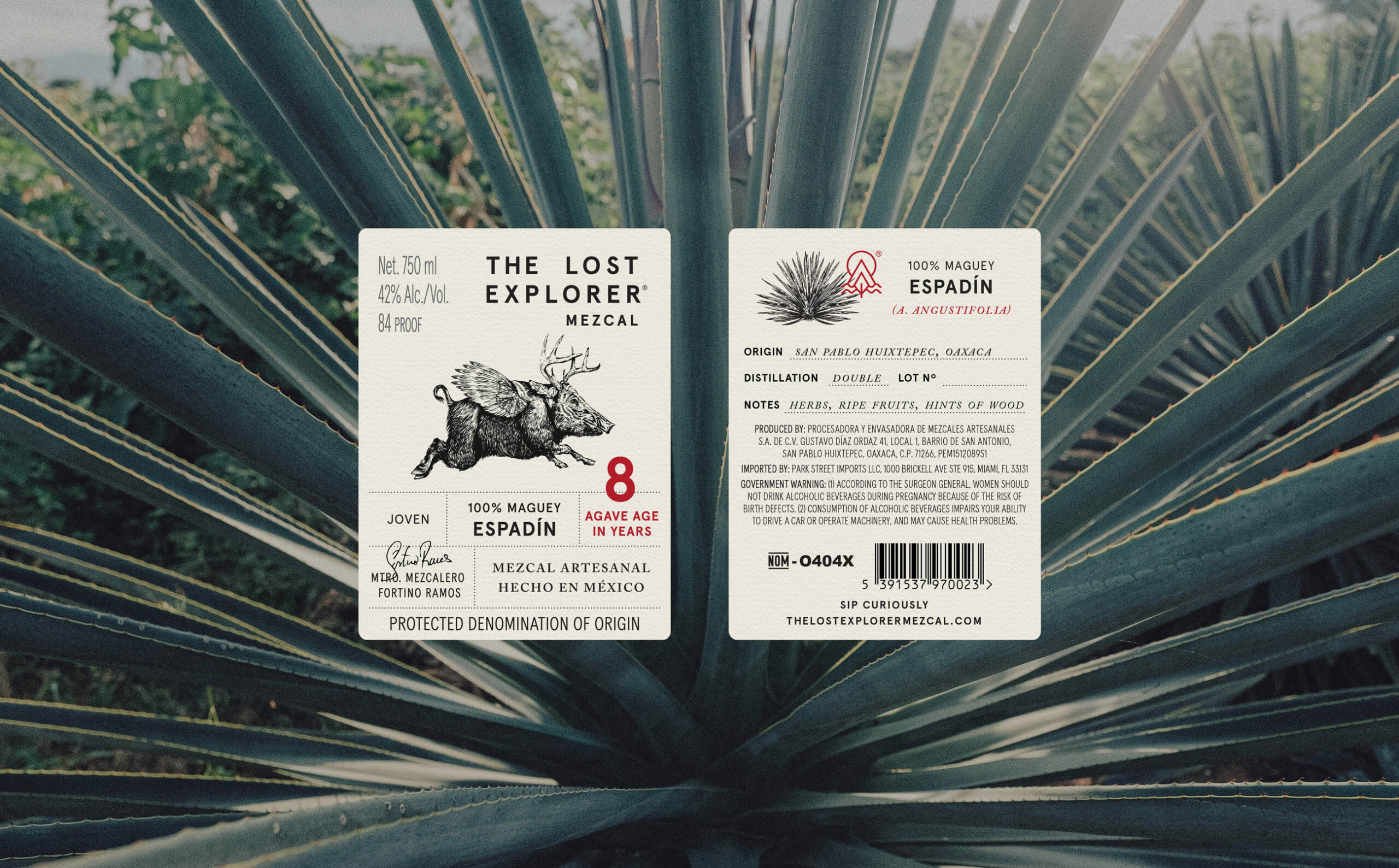 the-lost-explorer-06