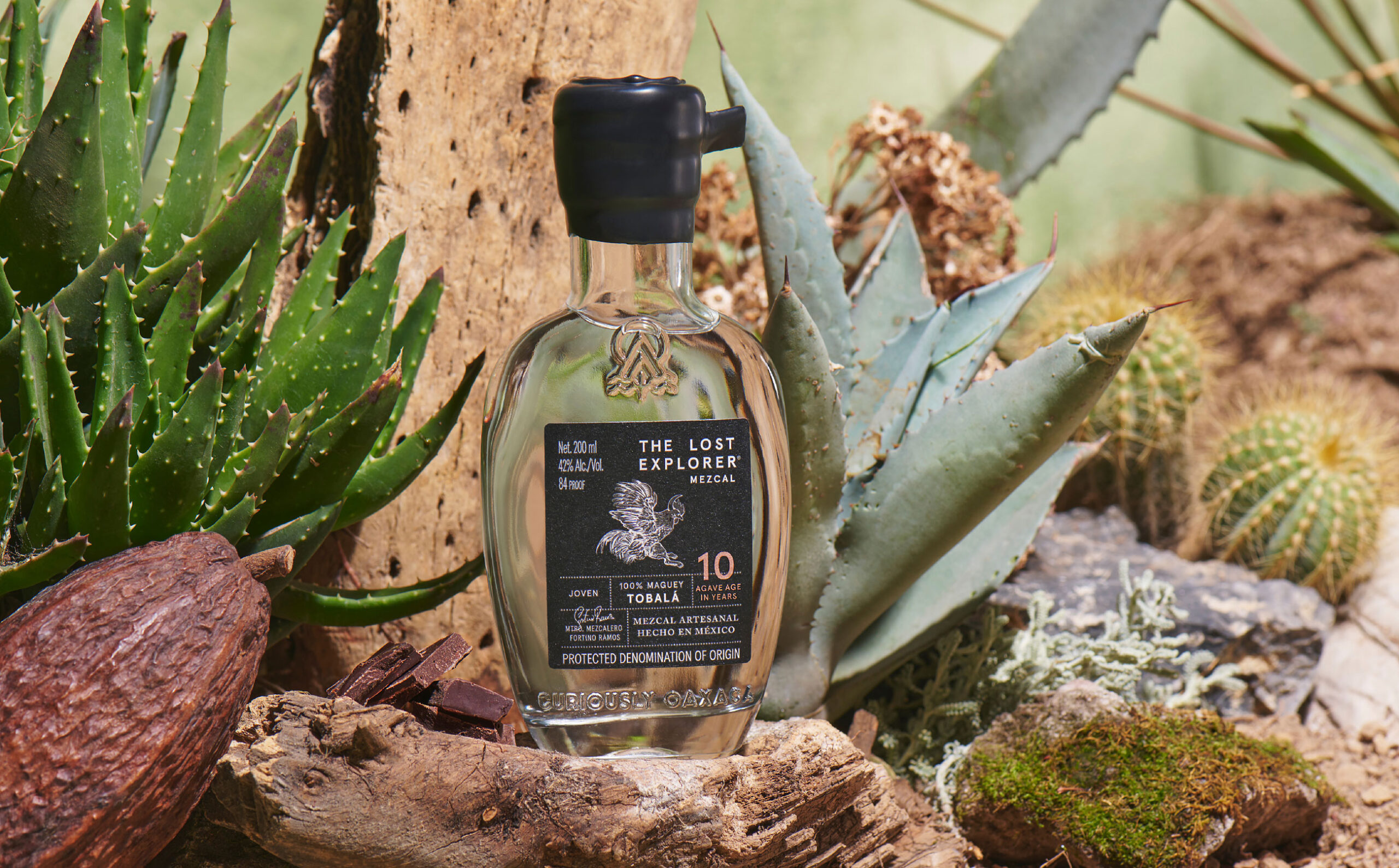 the-lost-explorer-08