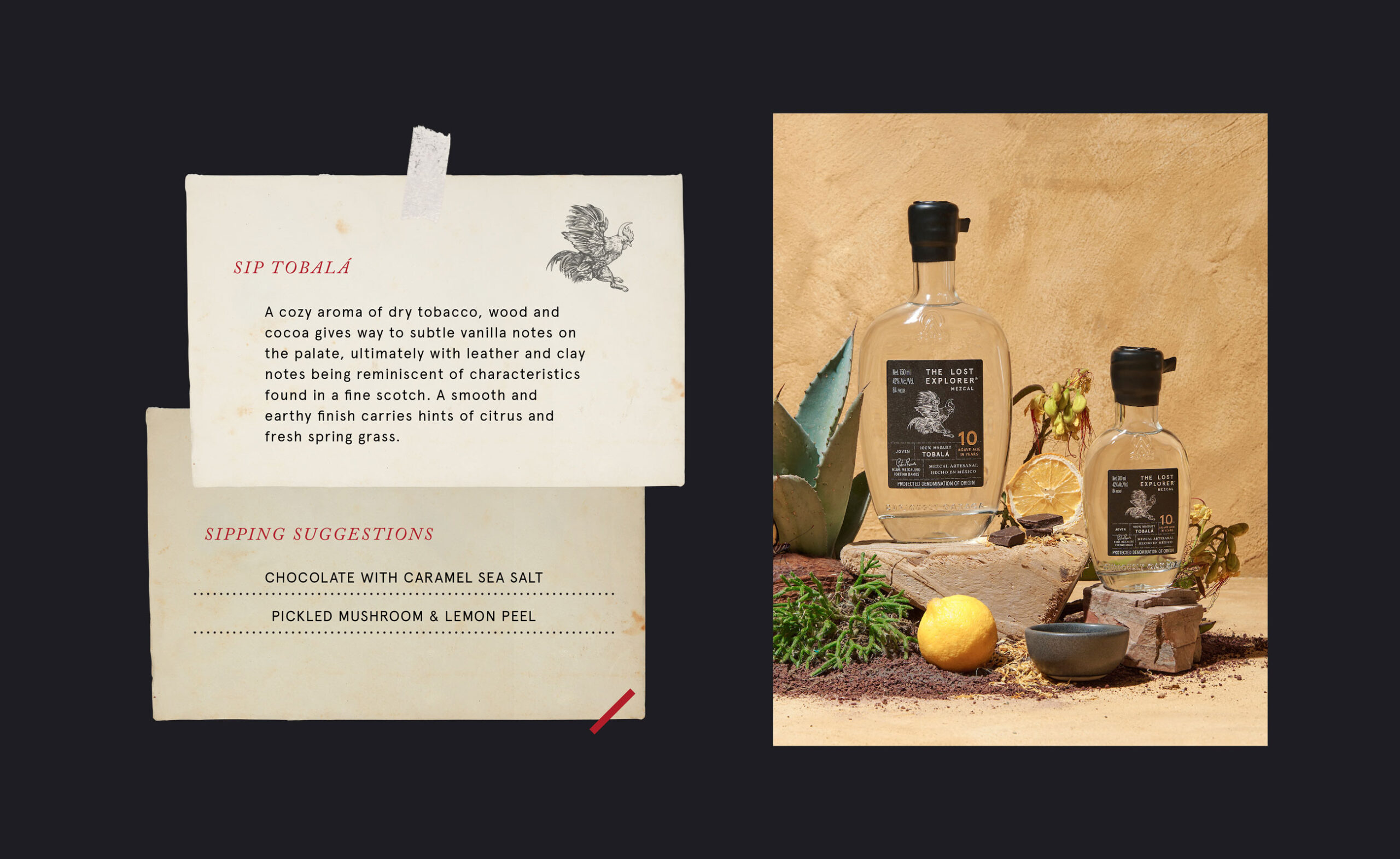 the-lost-explorer-09