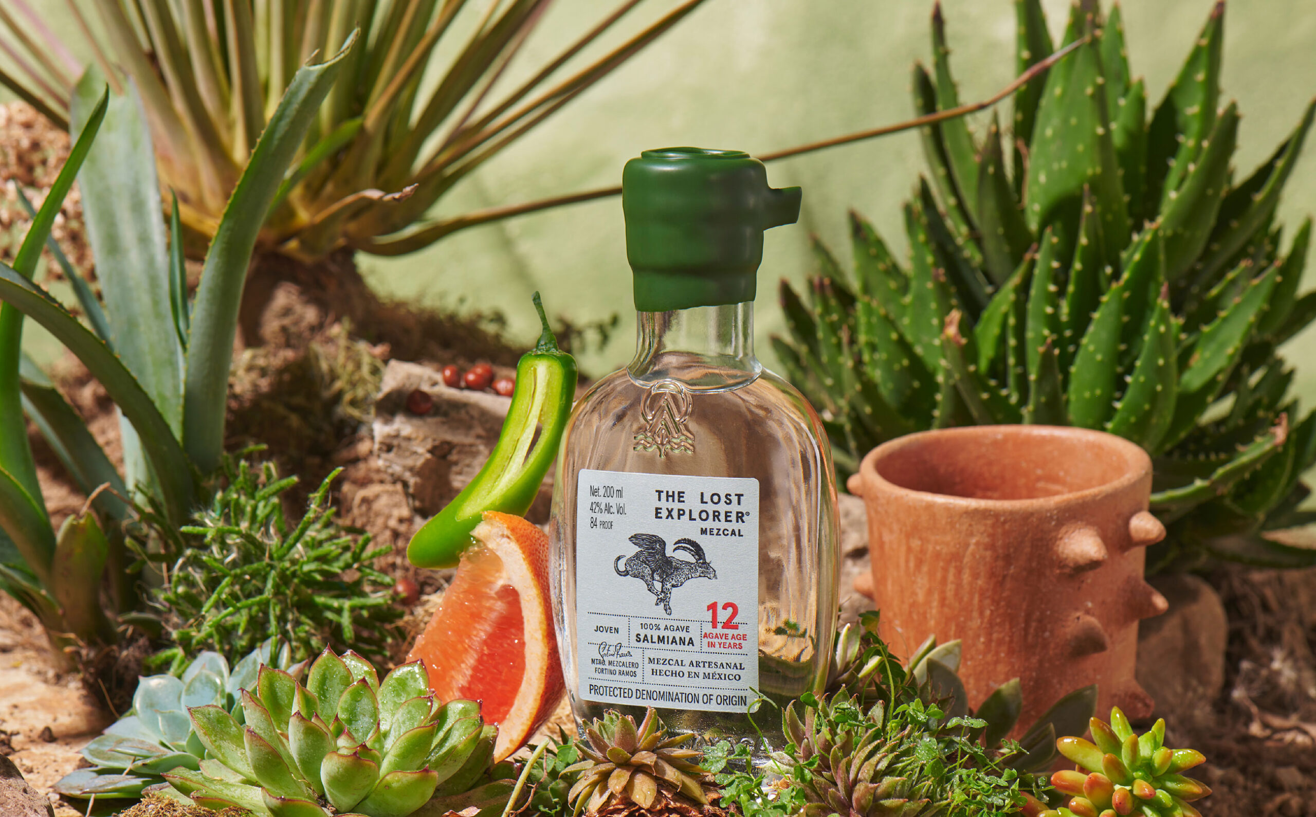 the-lost-explorer-10