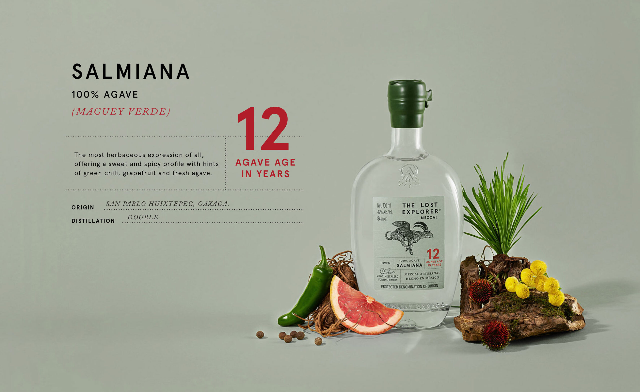 the-lost-explorer-11