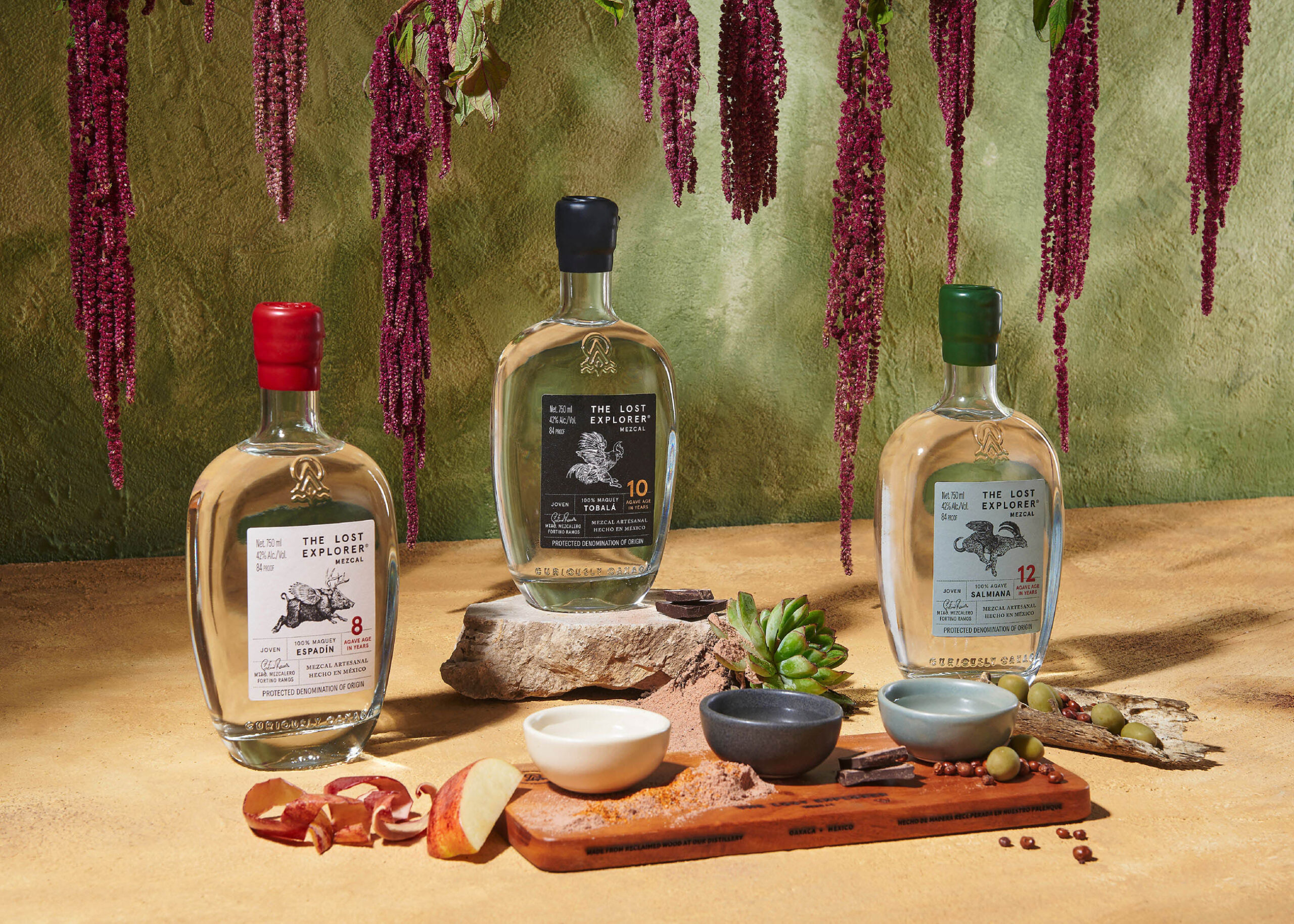 the-lost-explorer-12