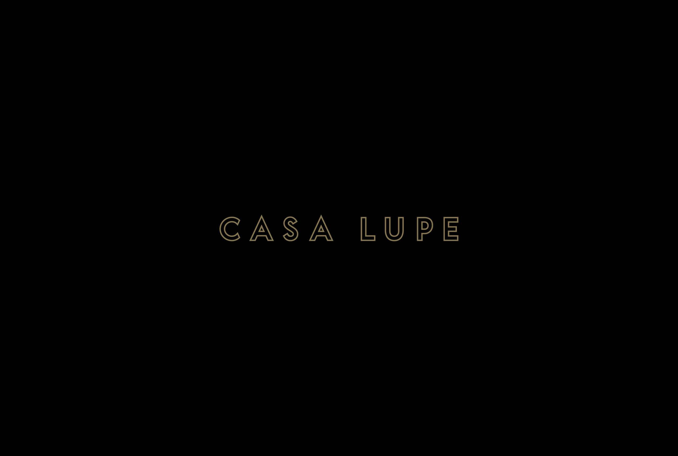 casa lupe-04