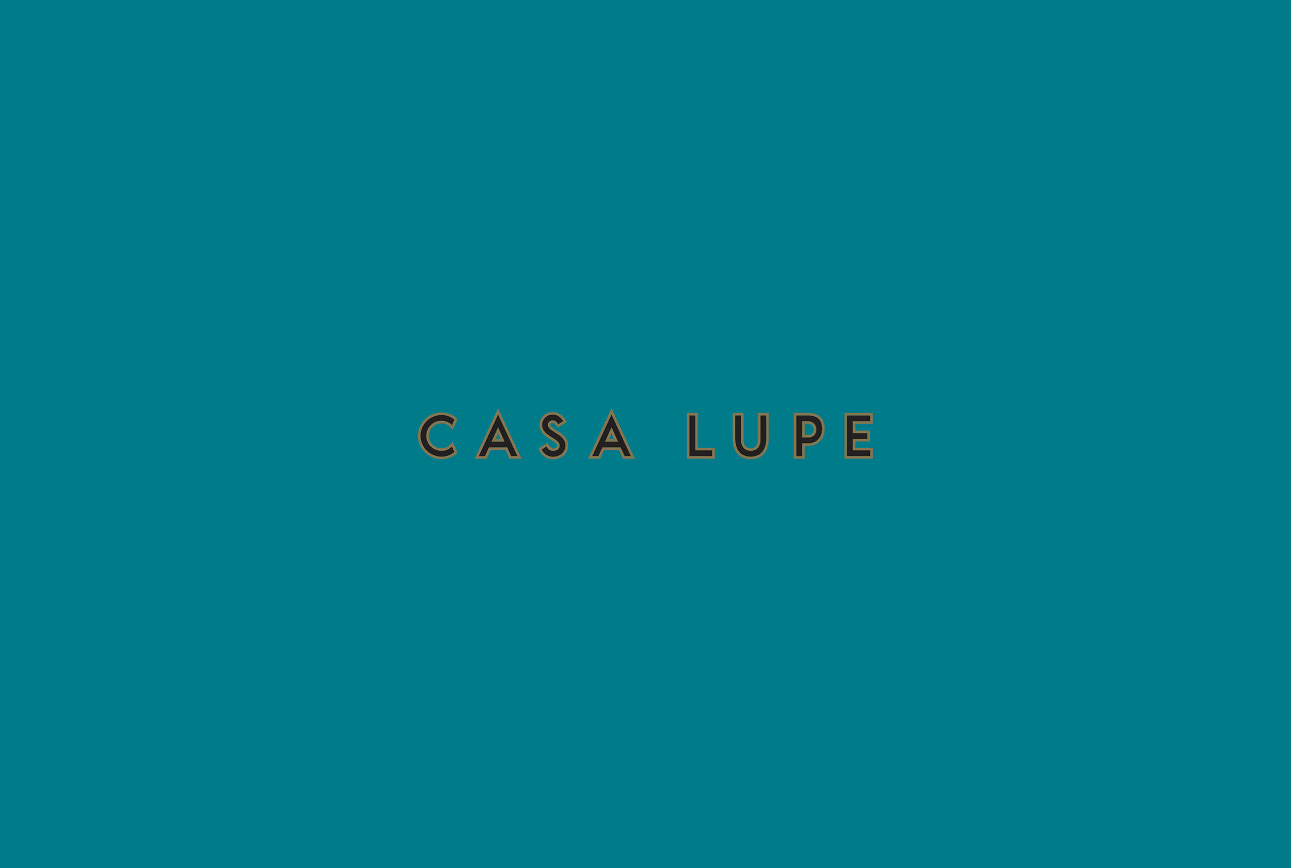 casa lupe-05